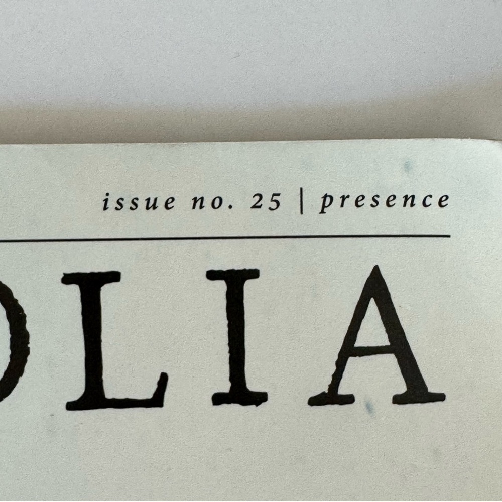MAGNOLIA Journal Magazine Set of 2 Issues 25 & 26 Winter 2022 & Spring 2023 - Picture 9 of 16